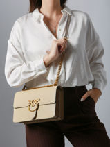 Cross Body Tas Love Bag Icon Leder Pinko Beige love bag icon A0F1-vue-porte